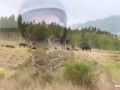 Public Four wheel Fucking!  - Molly Pills - Dirty Off Road Adventure Porn