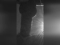 long cock takes a doll