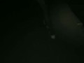 Star flashing last night while walking the dog