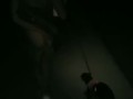 Star flashing last night while walking the dog