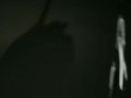 Star flashing last night while walking the dog