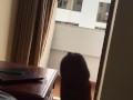 Window flash and cum for maid 