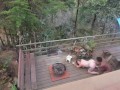 PAWG FUCKS 11 INCH BBC ALL OVER OUTDOORS - @elKonguito @sweetauroramae