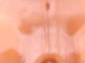 Sex Doll POV Pussy Pound Cum Shot Fuck Me Silly - Cunnilingus King