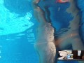 Follada en la piscina con vecinos