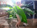 Rural striptease. Country girl dancing in the yard of her house Rustic striptease with banana leaf