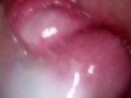 cum see inside my creamy pussy