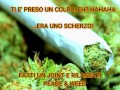 prova greenscreen e effetti video