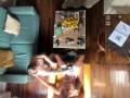 11 INCH BBC PAWG HARD FUCK BIRDSEYE VIEW - @elKonguito @sweetauroramae