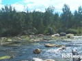 200816 Dogs walkout Part 2 - Hot milf Jumping over river rapids for get a fuck (teaser 3)