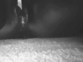  Colorless fountain. (Certified Squirter)