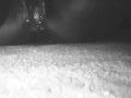  Colorless fountain. (Certified Squirter)