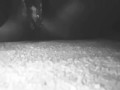  Colorless fountain. (Certified Squirter)