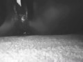  Colorless fountain. (Certified Squirter)