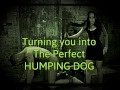 Turning you into the perfect humping dog