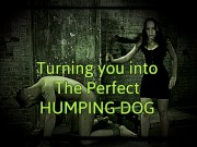 Turning you into the perfect humping dog