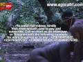 African Warriors Gives Village goddess Double Penetration