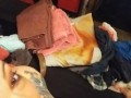 Slut Pierced Kitty Sucks Tiny Cock Laughs Her Ass Off and Dick Shames the Teenie Tiny Cock