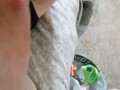 Lactating Tit Squeeze