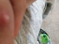 Lactating Tit Squeeze
