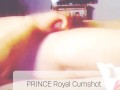 Prince Royal Cumshot
