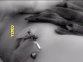 Clit clamp