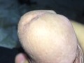 Penis Head 