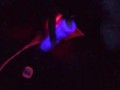 Step sis with nice feet caught squirting under the  black light. 