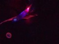 Step sis with nice feet caught squirting under the  black light. 