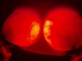 Glow In The Dark Boobs. Boob Nightlights. PBelle27