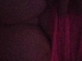 Big Boobies