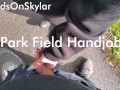 Field and Park Handjob