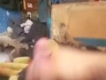 Taking care of morning wood 2