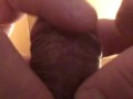 Nice closeup of me jerking off my uncut cock & slowly releasing my cumshot to intensify the orgasm. 
