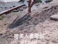 湖边的浪漫