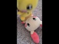 Pichu fucks Plusle uncensored