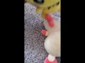 Pichu fucks Plusle uncensored