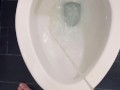 Hotel_Bathroom_Piss_Long Day