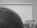 Phat ass twerking 
