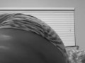 Phat ass twerking 