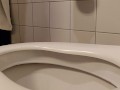 Voyeur cam stepsister on toilet