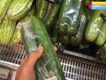 (4K) (VlogSex) Cucumbers Squirting On A Huge เธอบอกเอาแตงกวาไปผัด ที่ไหนได้เอาไปยัดหีแทน
