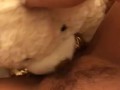 TEDDY BEAR LICKS MY PUSSY TO ORGASM!