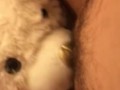 TEDDY BEAR LICKS MY PUSSY TO ORGASM!