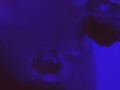 Bbc blue light special (porn for women)