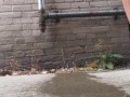COMPILATION girl peeing outside, because she couldn’t hold it
