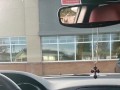 Hotwife Peeing At Starbucks 