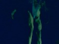 muscle nymph with blue hairy pussy