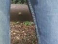 Public wetting jeans