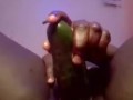 BIGGEST CUCUMBER in TIGHT PUSSY